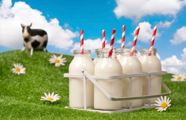  Hrvati stopirali izvoz mleka iz BiH? 