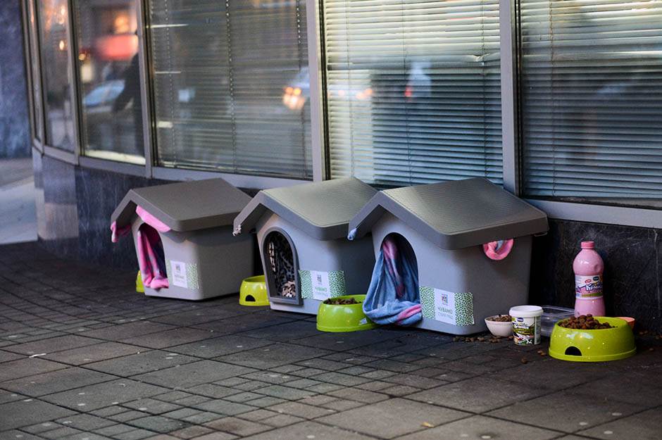  Kućice za pse u Beogradu  