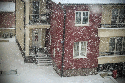  Sneg u Beogradu - Mali poručio sneg se uklanja dok sve ulice ne budu čiste 