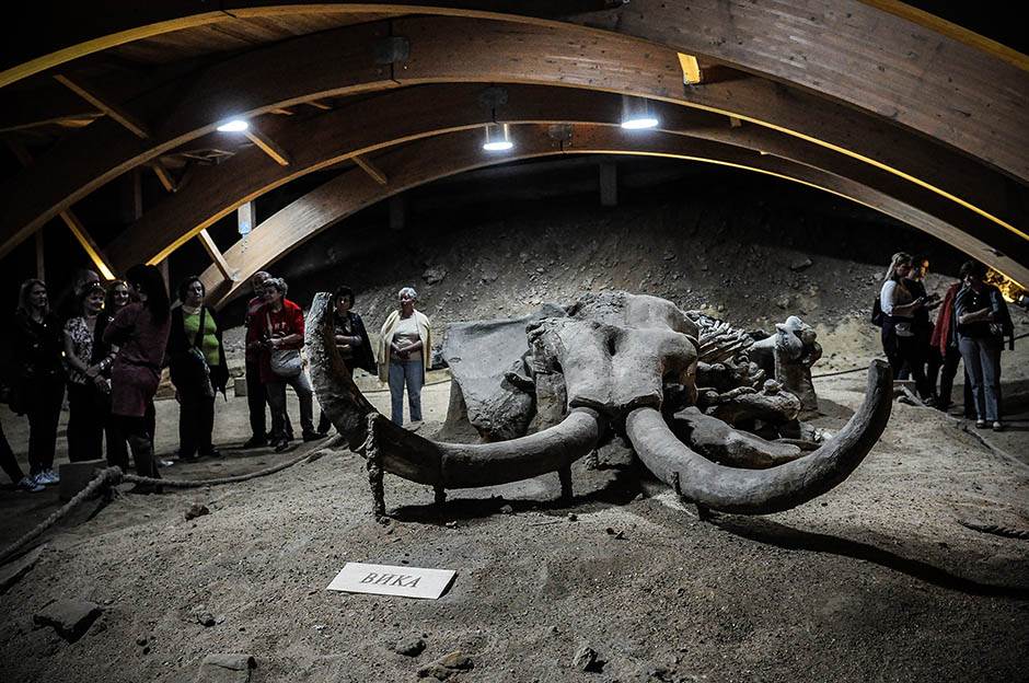  Kljova mamuta ukradena u Aljasci 