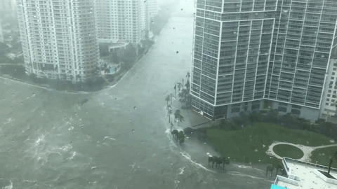  Uragan Irma Donald Tramp SAD Florida  