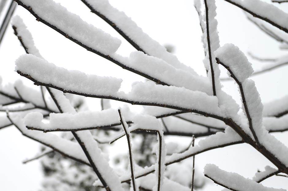   Vremenska prognoza - U Srbiji danas oblačno i hladno, ponegde sa snegom 