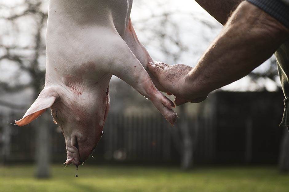  Lajpcig - desničari orete vrtićima jer su izbacili svinjetinu sa jelovnika 