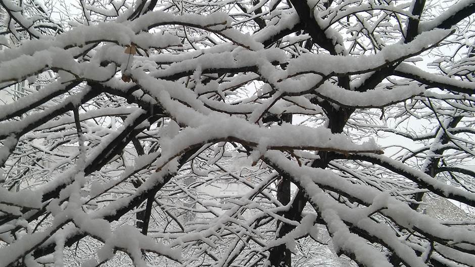 Vreme u Hrvatskoj - sneg na Bikovovu 