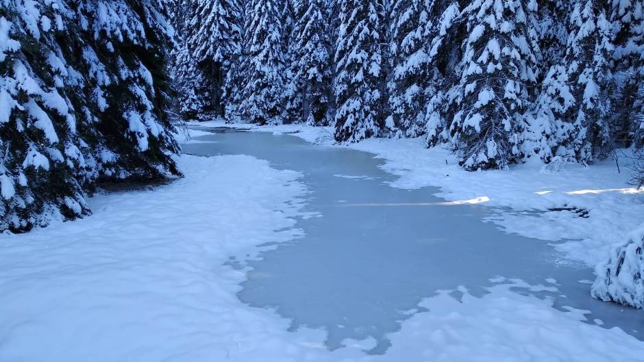  Zima u Švedskoj izemreno skoro minus 40 