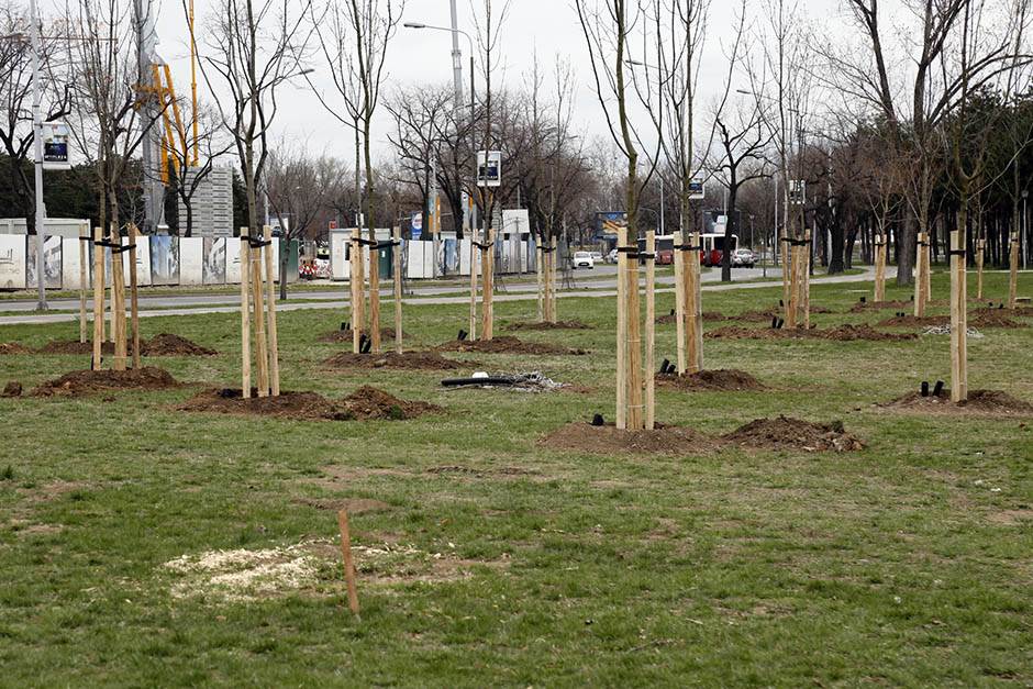  U parku Ušće biće zasađena 163 stabla 