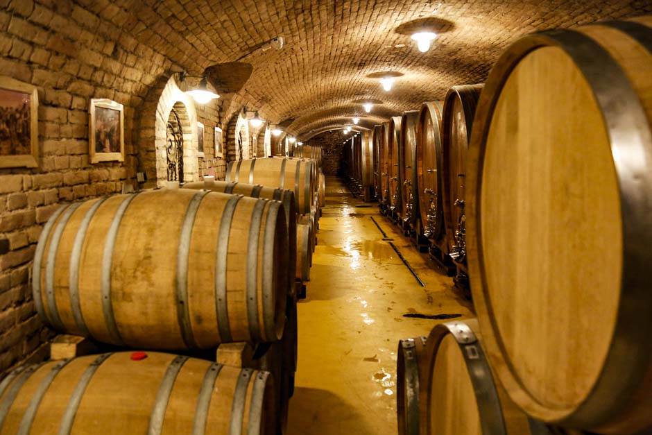  Vinarija Kovačević reportaža vino vinska industrija u Srbiji 