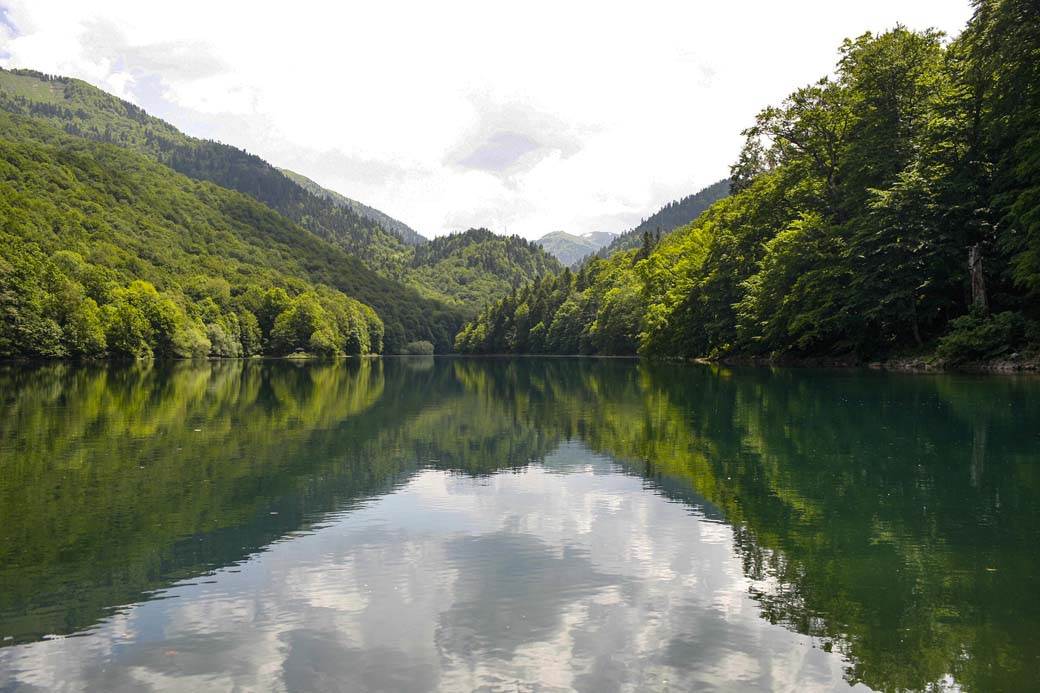  Biogradska gora prašuma u Crnoj Gori video fotografije Biogradsko jezero 