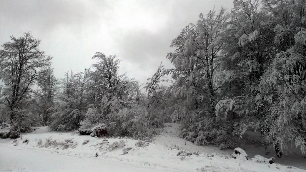 Srbija - Decembar - vremenska prognoza - sneg  