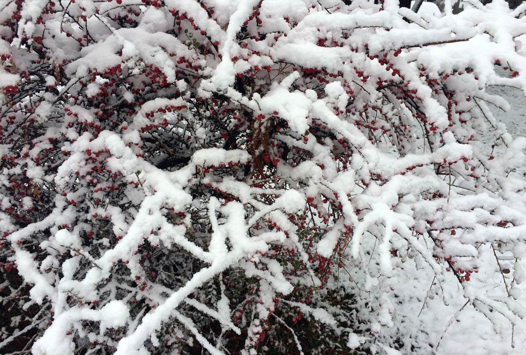  U Hrvatskoj veje sneg, za sutra najavljen i kod nas 