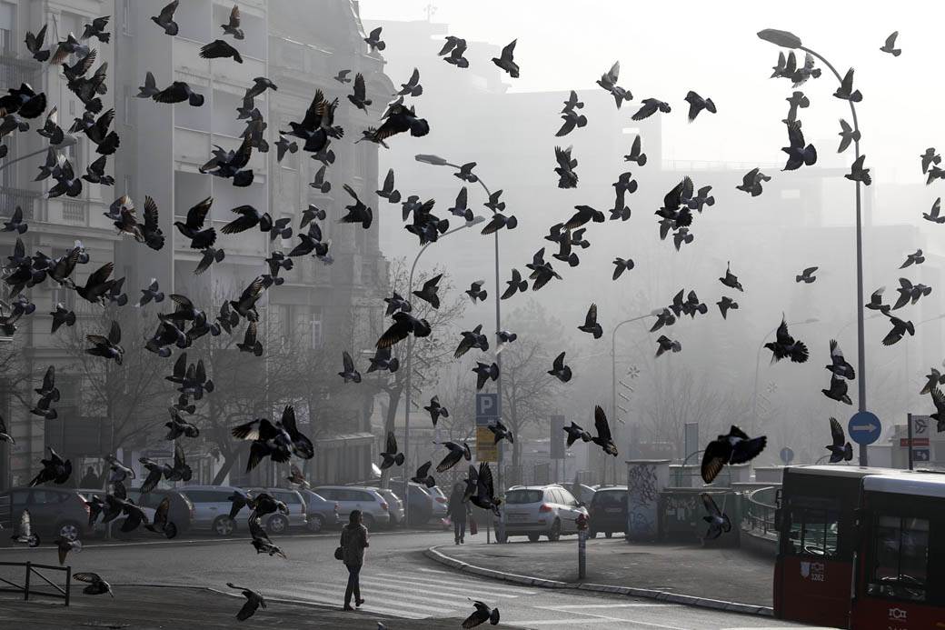  Zagađenje u Beogradu da li je kriva magla, šta kaže meteorolog 