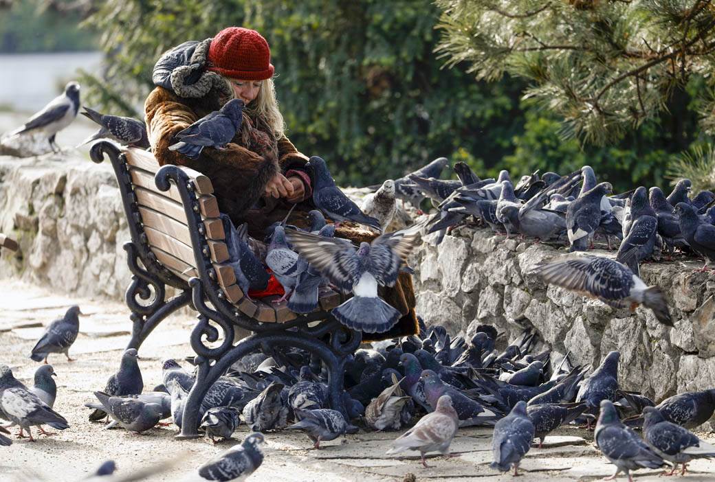  Beograd - Kalemegdan - Žena koja hrani ptice 