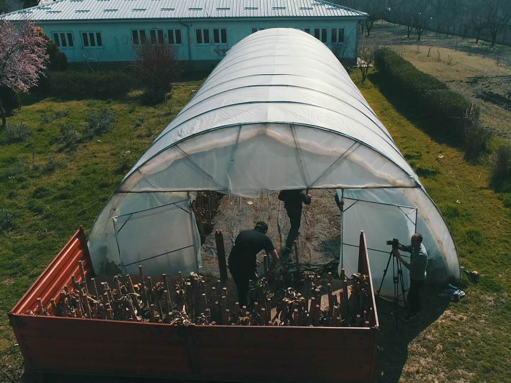  FAO UN - Studija o malim i porodičnim poljoprivrednim gazdinstvima u Srbiji 