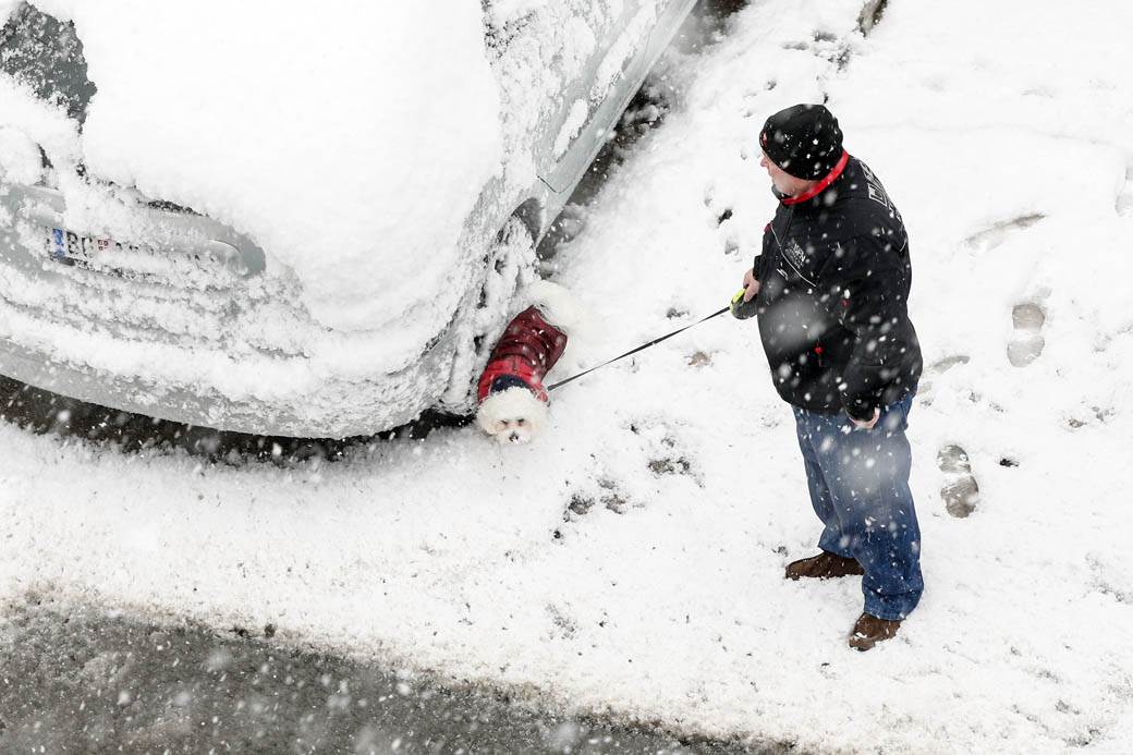  prognoza za zimu sneg decembar januar dugorocna prognoza 