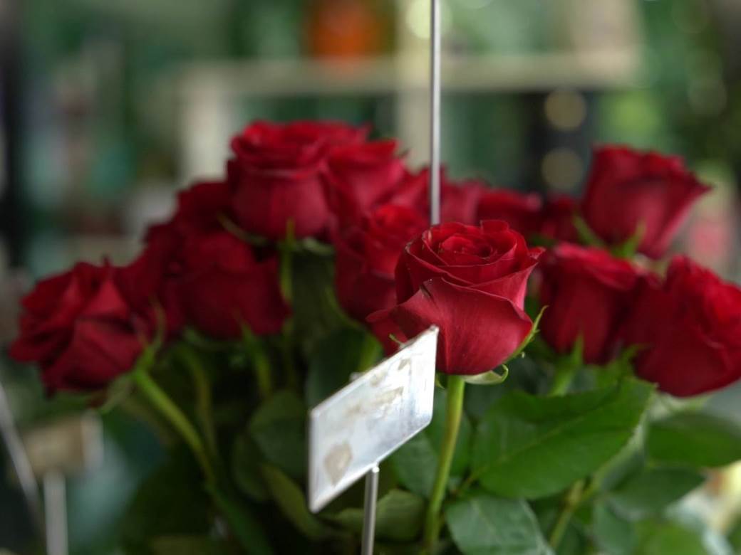  Novosadski cvećari poklanjaju cveće medicinskim radnicima 