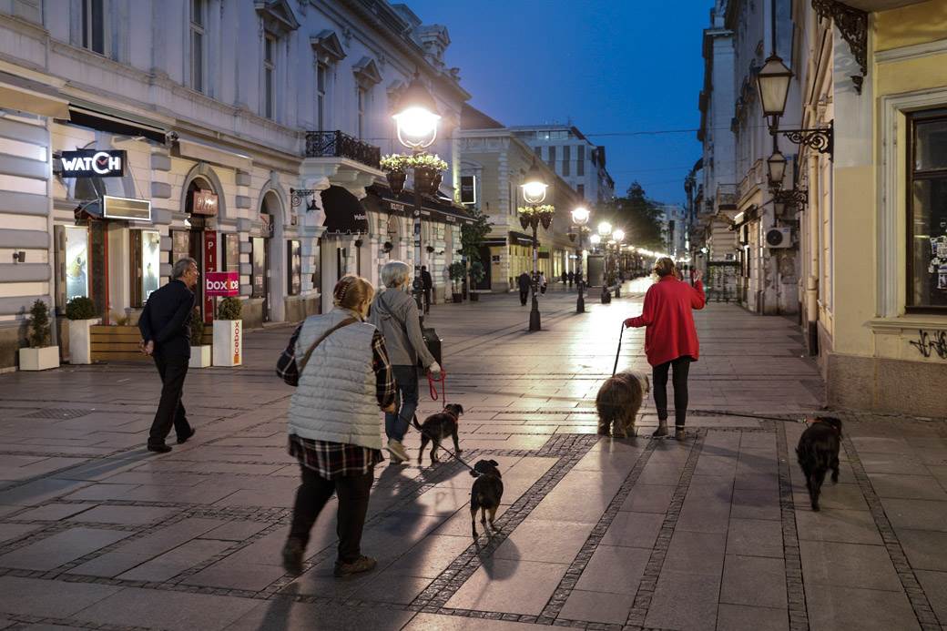  osiguranje kucnih ljubimaca pasa macaka u srbiji 