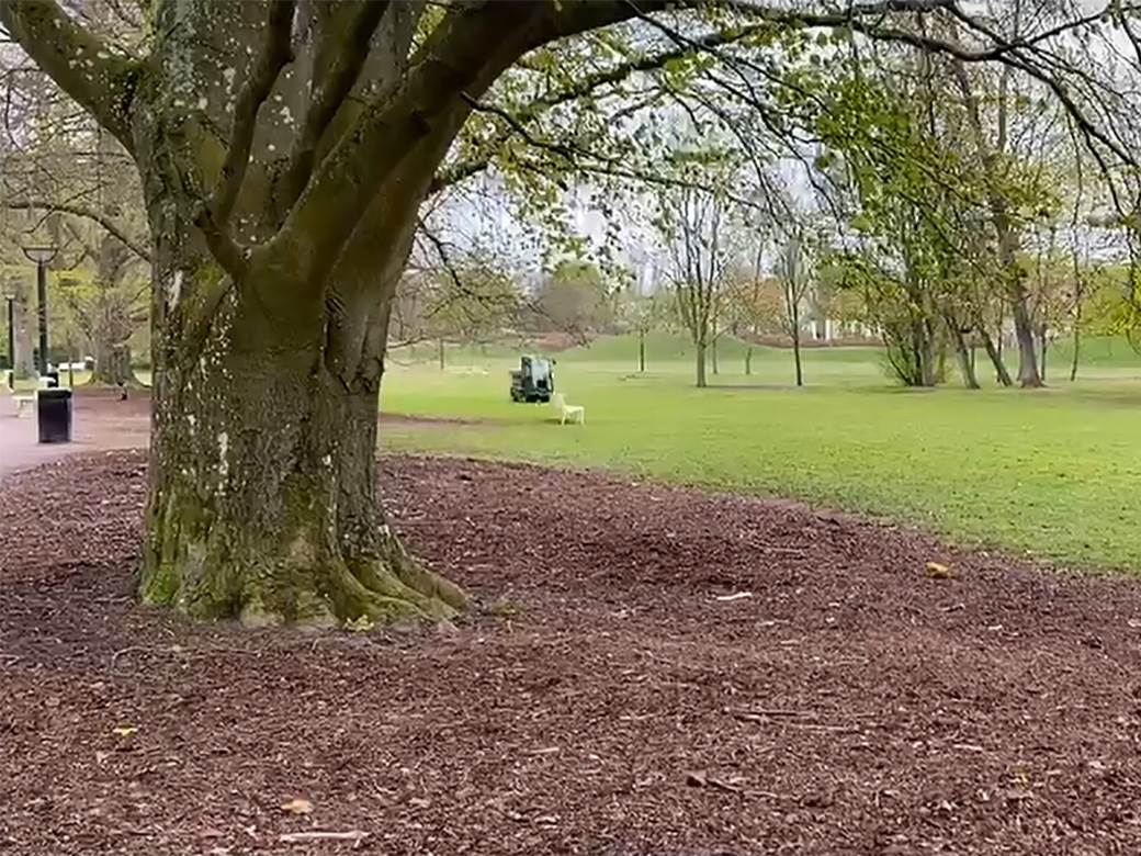 Balega u parku u Švedskoj kao mera socijalnog distanciranja 