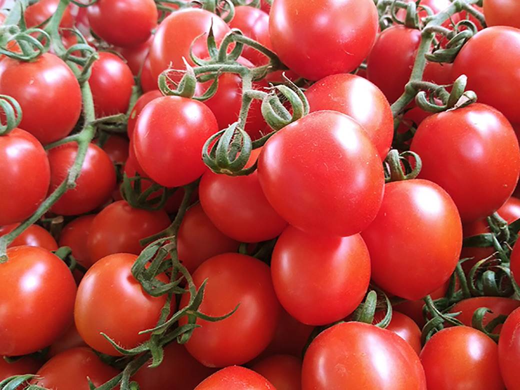 ZDRAVLJE: Sok od paradajza snižava krvni pritisak