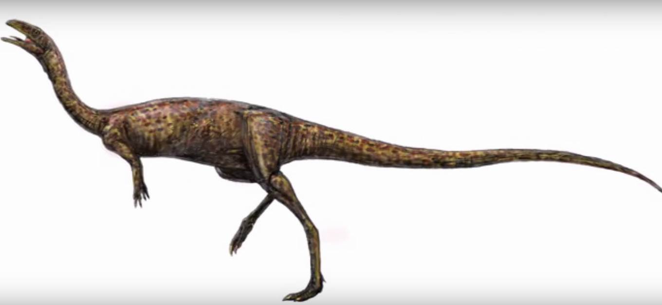  Bezubi dinosaurus nađen u Australiji 