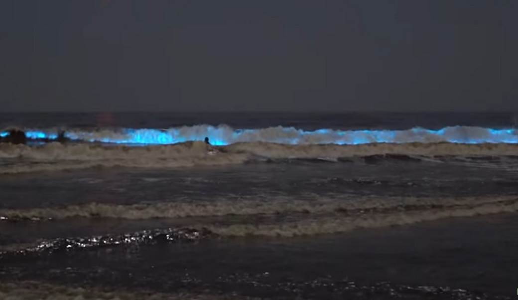  Okeani cvetanje fluorescentni talasi  