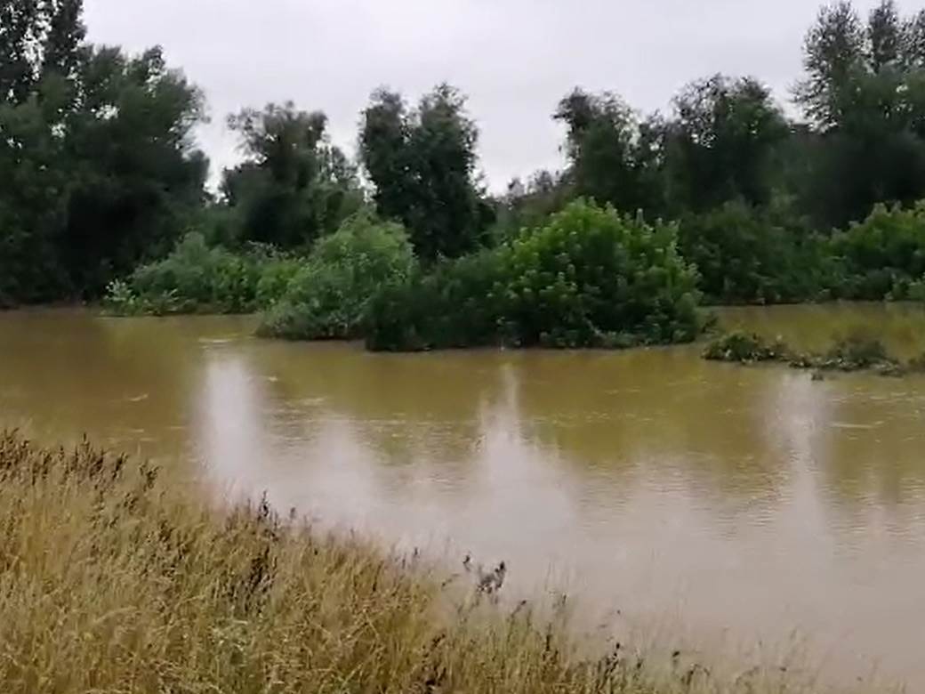  Izlio se Tamiš-nema opasnosti od poplava 