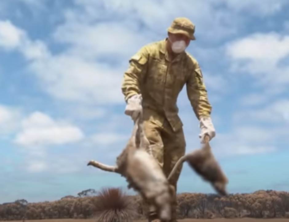 Poar u Australiji 2019. stradalo 3 milijarde životinja 