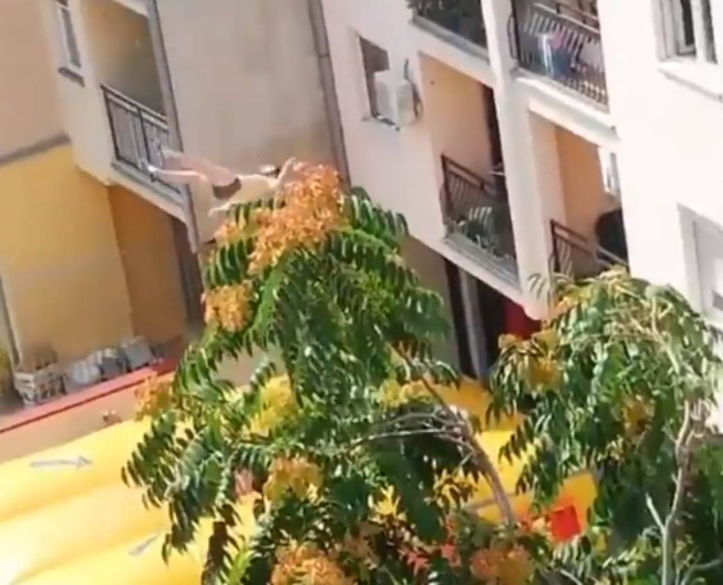  Nov Sad - Skok sa zgrade - pokušaj samoubistva - Video  