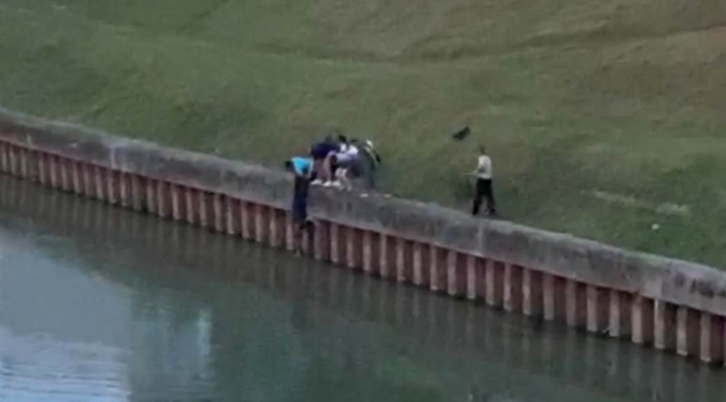  Zrenjanin reka Begej policajci spasavanje pas foto 