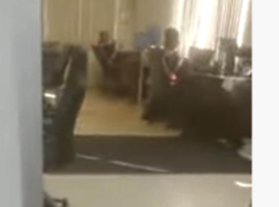  Medved ušetao u kancelariju u Meksiku 