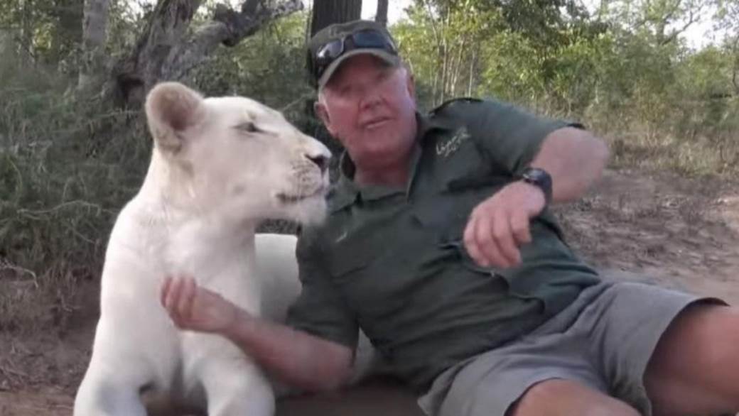  Južna Afrika - Dve lavice pojele čoveka - Smrt - Životinje - divlje mačke  VIDEO 
