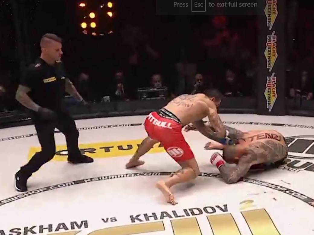  Aleksandar Ilic Džoker Mihal Martela MMA borba poraz KSW video 