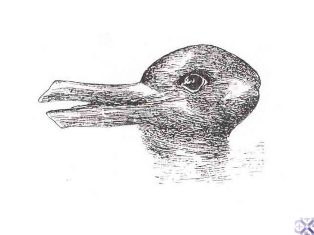  Test ličnosti optička iluzija patka ili zec šta vidite na slici 