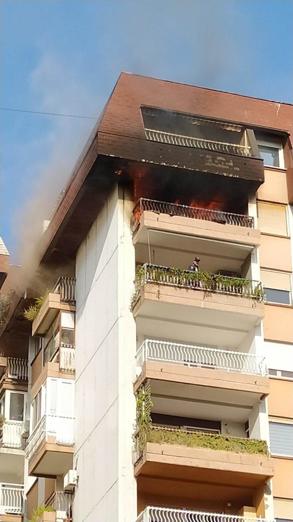  pozar vatrogasci dorcol ulica visokog stevana spasavanje terasa zgrada devojka radnici 