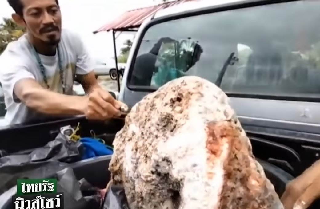  kitova povracka sastojak za parfeme ribar s tajlanda nasao ambergris  