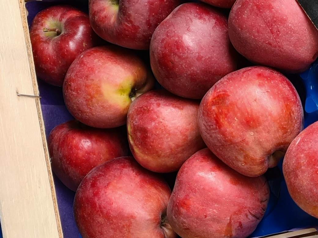  jabuke koje su najzdravije vitamini minerali vlakna zdrava ishrana 