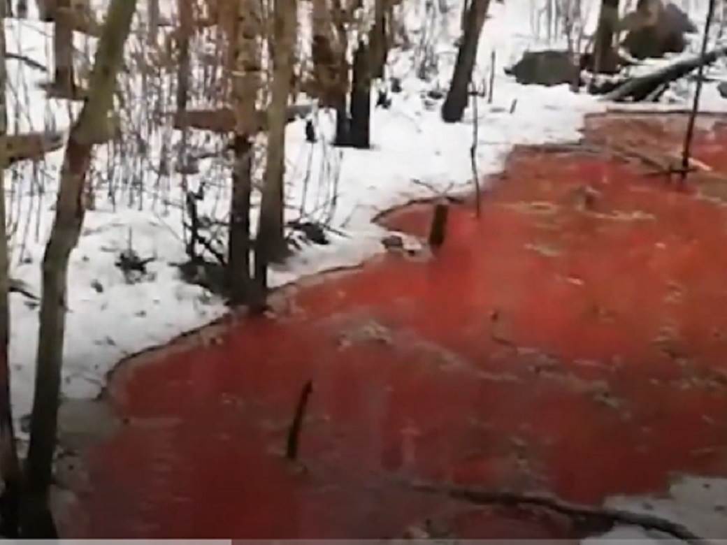  karelija krvava reka zagadjenje uzrok rusija video 