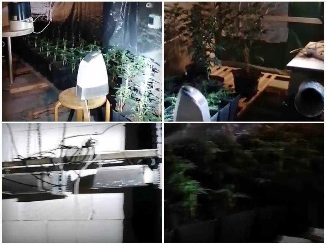  laboratorija droge akcija policije hapsenja marihuana 