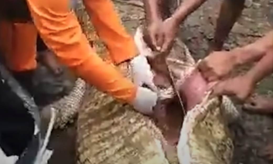  krokodil pojeo decaka indonezija 