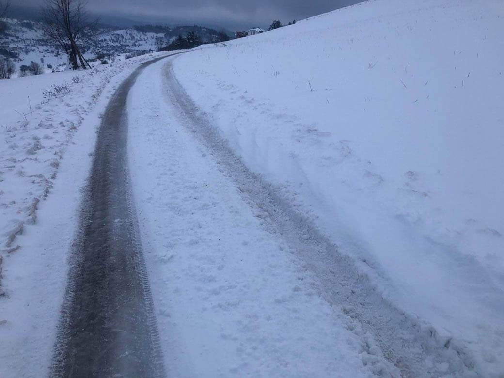  pronadjen les u snegu selo bosilegrad infarkt 