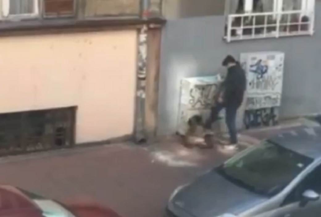  beograd manijak tukao vezanog psa uhapsen video 