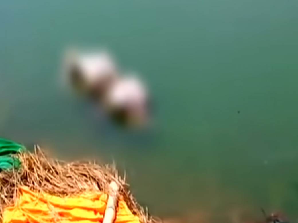  indija korona virus lesevi plutaju rekom video snimak 