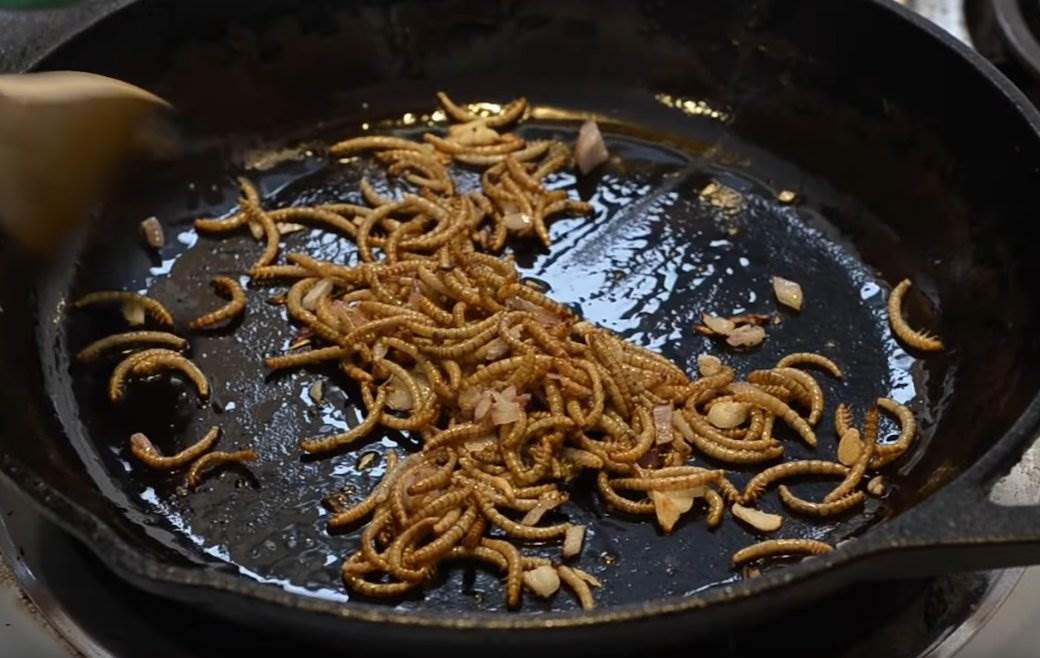  zuti brasnasti crvi za jelo u ishrani larve 