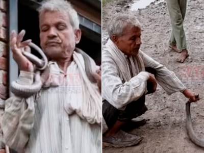  Kobra ubila hvatača zmija u Indiji 