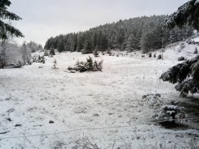  Pao sneg u Srbiji 