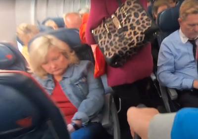  Žena dojila mačku u avionu 