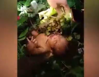  Beba preživela dva dana u džungli na Tajlandu 