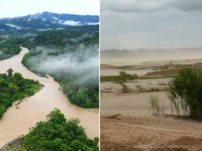  Rekordna seča amazonske prašume 