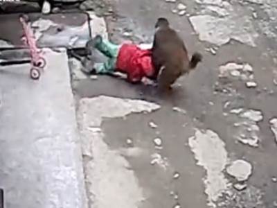 Majmun napao dete u Kini 