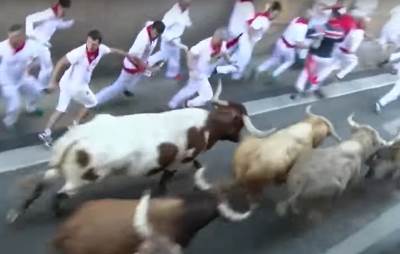  Sedmoro povređenih u trci s bikovima u Pamploni 