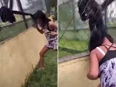  Majmun napao devojčicu u zoološkom vrtu 
